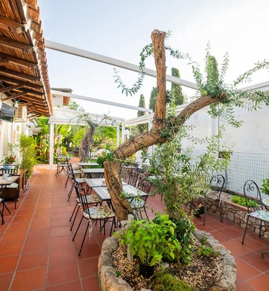 taormina-garden-hotel-ristorante-010